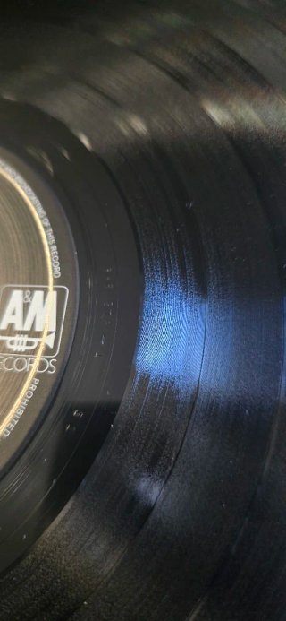 Vinilo Squeeze - Frank