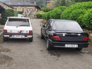 Peugeot 309 y 205 1089