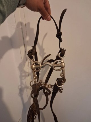 Bocado antiguo de caballo