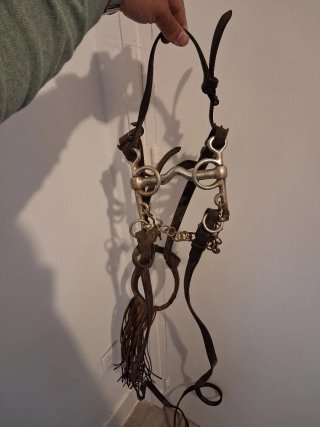 Bocado antiguo de caballo