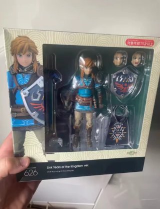 Figura Link Tears of the Kingdom