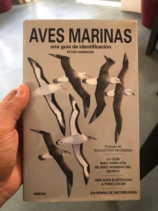 Aves marinas : una guía de identificación
