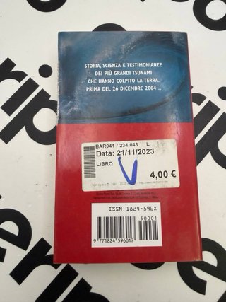 Tsunami libro