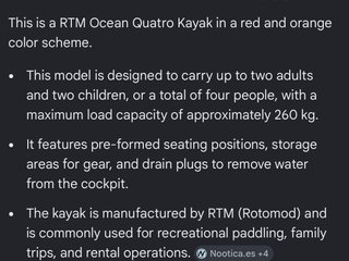 Kayak de 4 plazas