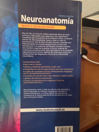 Neuroanatomia