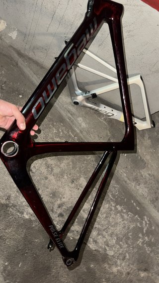 Cuadro Megamo Pulse Elite