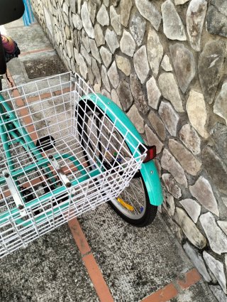 Triciclo para adulto color menta