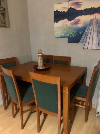 Mesa de comedor familiar con 6 sillas