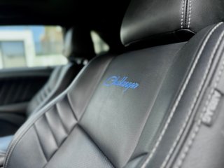 Dodge Challenger SRT 2018!