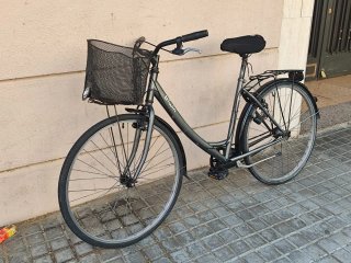 Bicicleta paseo