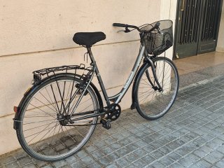 Bicicleta paseo