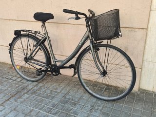 Bicicleta paseo