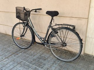 Bicicleta paseo