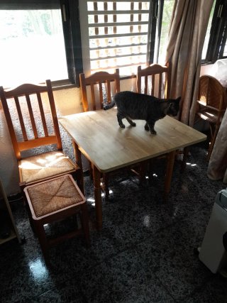 Mesa plegable + 3 sillas y 1 taburete