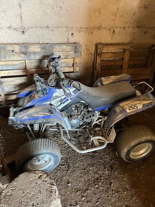 Quad Yamaha Warrior 350 Azul ( Fallo Motor )