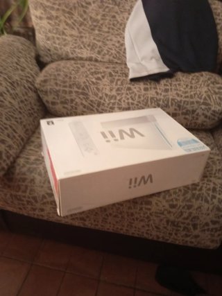 Nintendo Wii Completa (Sin Wii Sports)