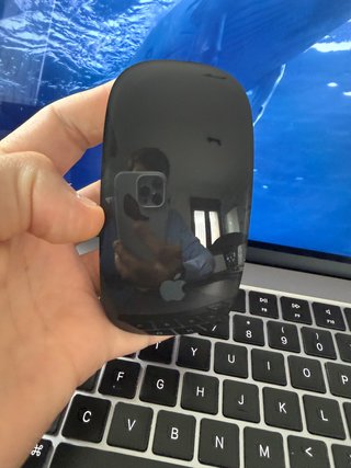 Mouse Apple Negro