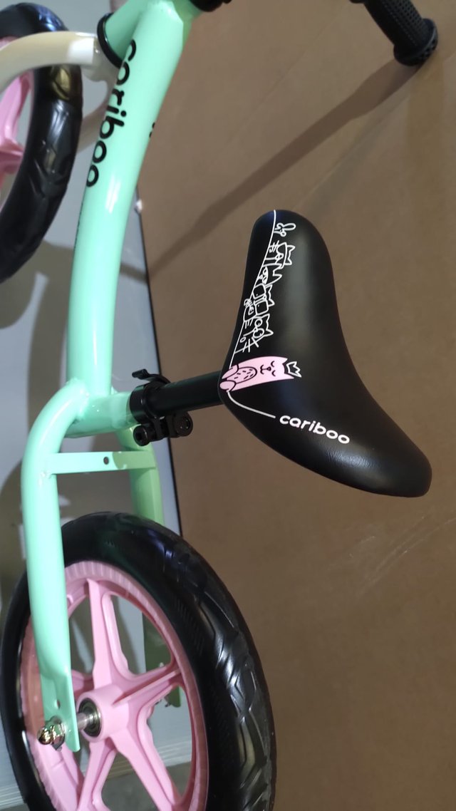 Bicicleta de equilibrio Coriboo Classic Mint