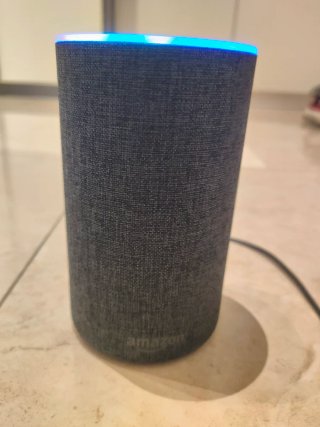 Alexa Echo plus Amazon perfetto