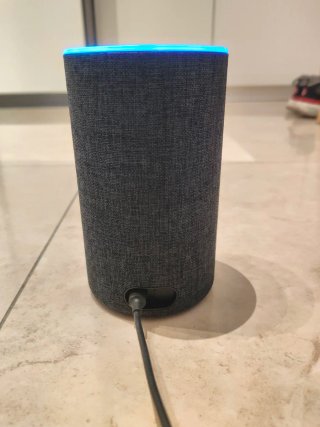Alexa Echo plus Amazon perfetto