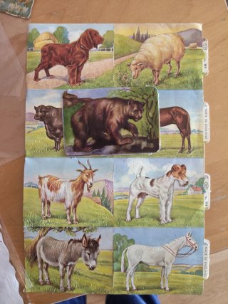 Colección cromos picar, muchos temas, personas...