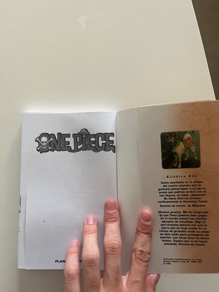 Manga One Piece Tomo 5