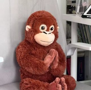 Peluche Orangután GRANDE (XXL) "Mono Punch" Nuevo!
