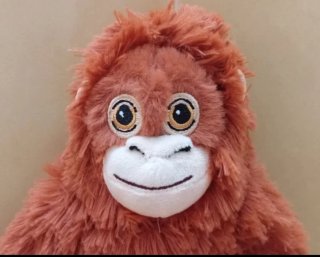 Peluche Orangután GRANDE (XXL) "Mono Punch" Nuevo!