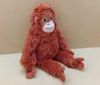 Peluche Orangután GRANDE (XXL) "Mono Punch" Nuevo!