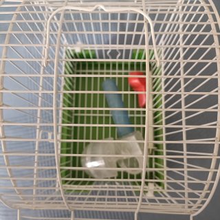 Jaula para pájaros blanca y verde