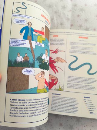 In Nomine: Las historias escondidas en los nombres