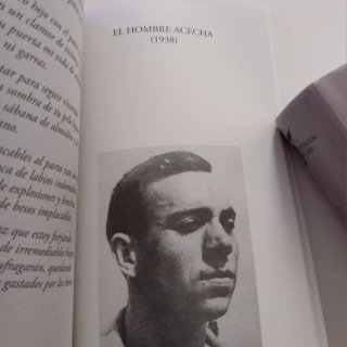Miguel Hernández  Breve antología poética