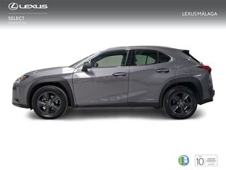 Lexus UX 2.0 250h Business