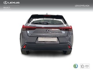 Lexus UX 2.0 250h Business