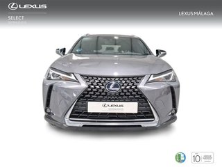 Lexus UX 2.0 250h Business