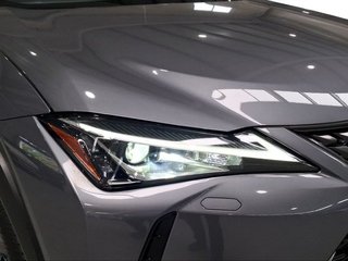 Lexus UX 2.0 250h Business