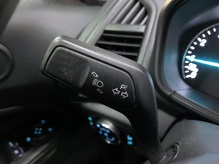 Ford EcoSport SS Trend
