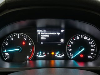 Ford EcoSport SS Trend