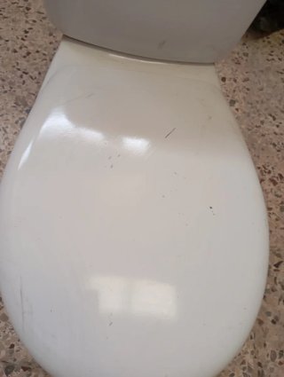 Sanitarios Roca Blancos
