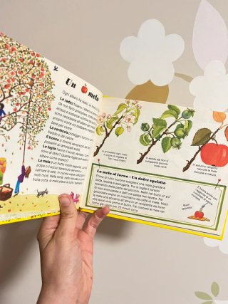 Libri Lotto natura Scopriamo insieme