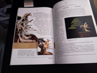 Libro Bonsai di Michele Andolfo