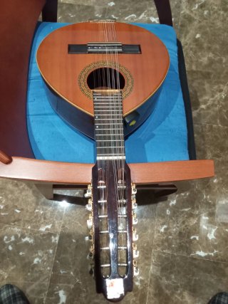 Bandurria Alhambra