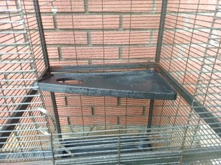 Jaula para ratas domésticas