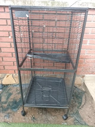 Jaula para ratas domésticas