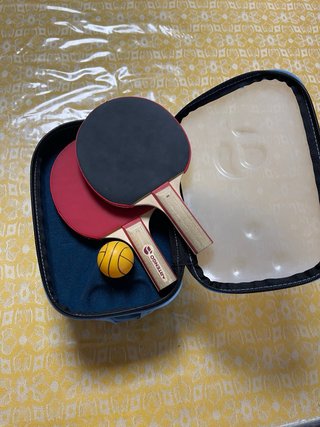 Ping Pong Portátil Artengo