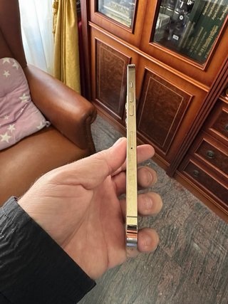 iPhone 12 Pro 256GB Dorado