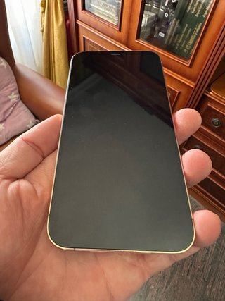 iPhone 12 Pro 256GB Dorado
