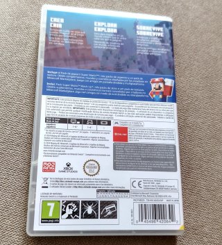 Minecraft Nintendo switch