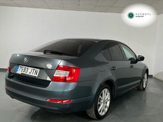 Skoda Octavia 1.6 TDI CR 81KW (110cv) Active