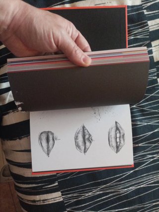 La tinta de mis ojos